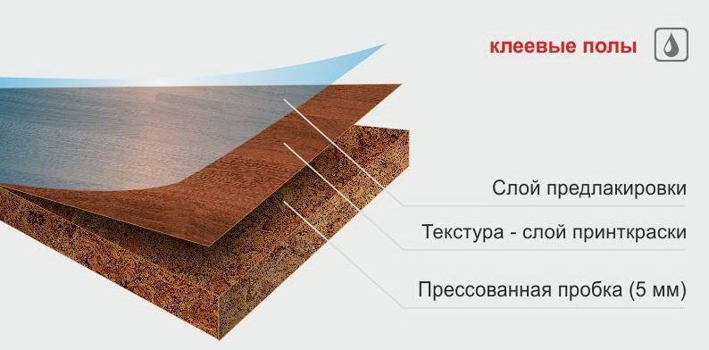 Пробковые полы на кухне: обзор реальных плюсов и минусов