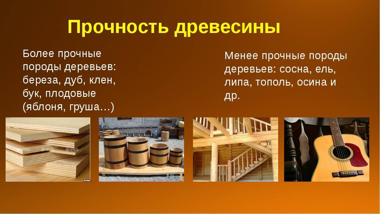 Выбор древесины для строительства дома: виды и на что обращать внимание