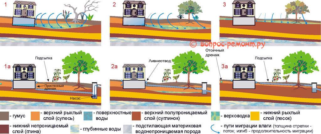Как осушить участок: 4 способа избавиться от воды навсегда