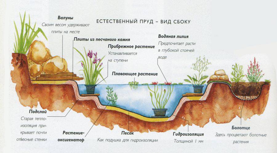 Декоративный пруд на даче: как сделать своими руками и идеи по оформлению