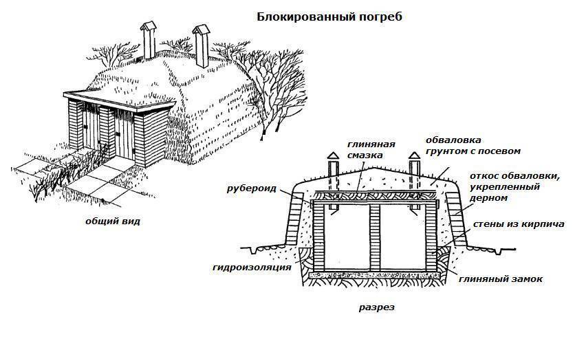 Проект погреба на участке готовые чертежи фото с описанием
