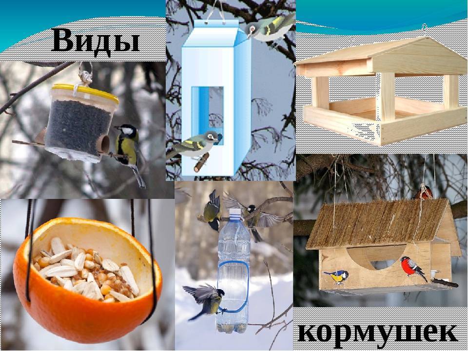 Кормушка для диких птиц варианты, чертежи, чем наполнить и для кого — красстройка