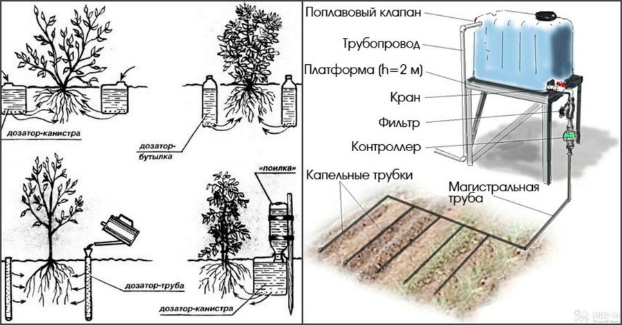 Как сделать капельный полив?