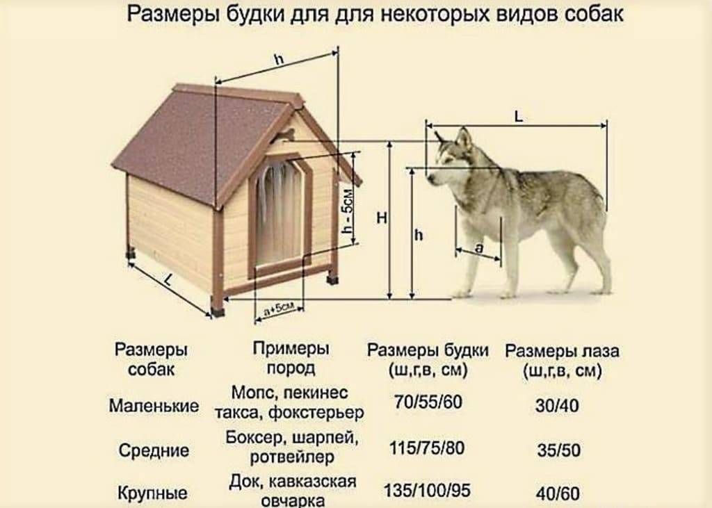 Вольер для собаки: какой лучше, как построить, размеры, схемы, изготовление