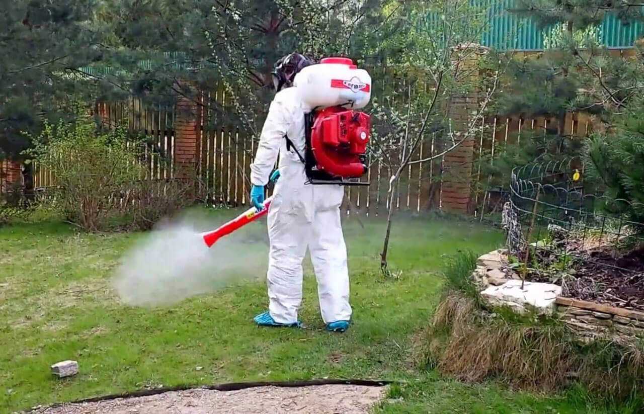 Клещи на участке — чем опасны и как самостоятельно избавиться от них