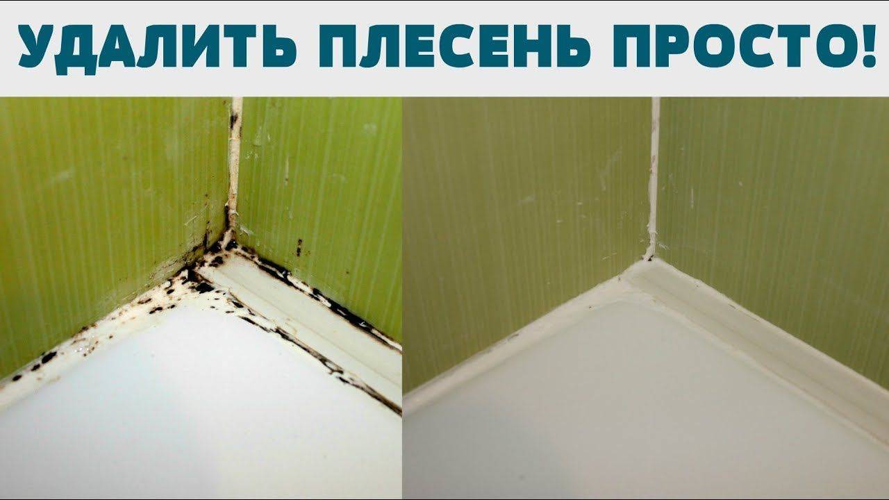 Как избавиться от плесени в ванной: 15 рабочих способов удаления черной плесени в домашних условиях
