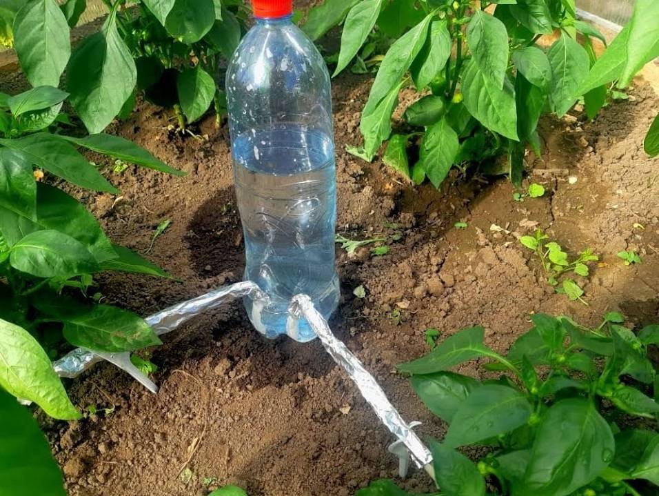 Капельный полив: от пластиковых бутылок к автоматизированной теплице — схемы, видео, устройство | строй легко