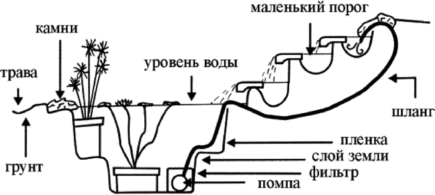 Лучшие рекомендации для организации искусственного водоема на участке