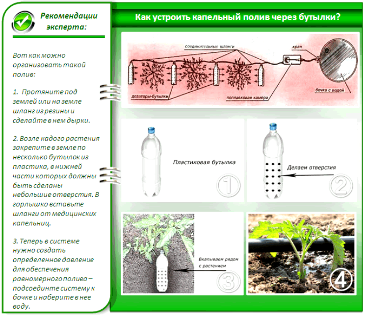 Секреты изготовления капельного полива из пластиковых бутылок своими руками
