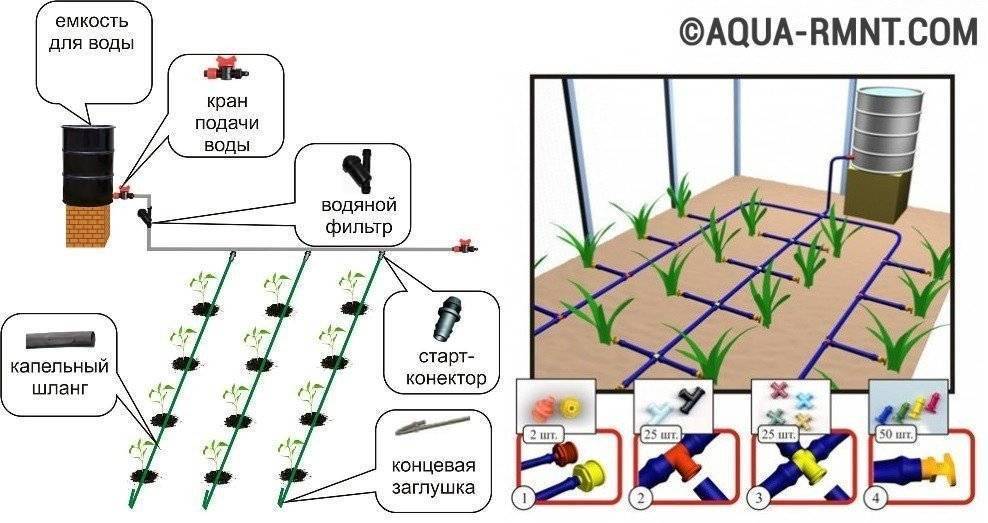 Схема капельного полива в теплице своими руками