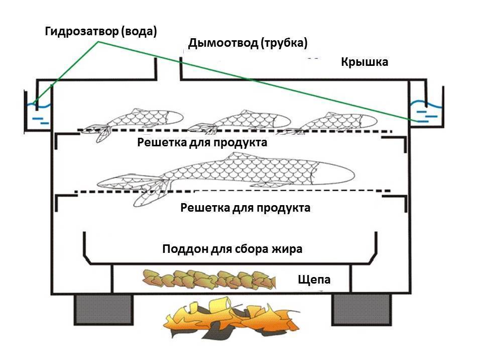 Коптильня холодного копчения своими руками