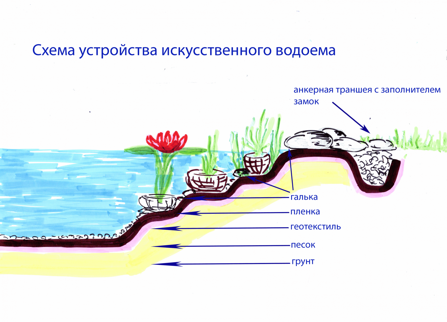 Пруд на даче своими руками - пошаговая инструкция!