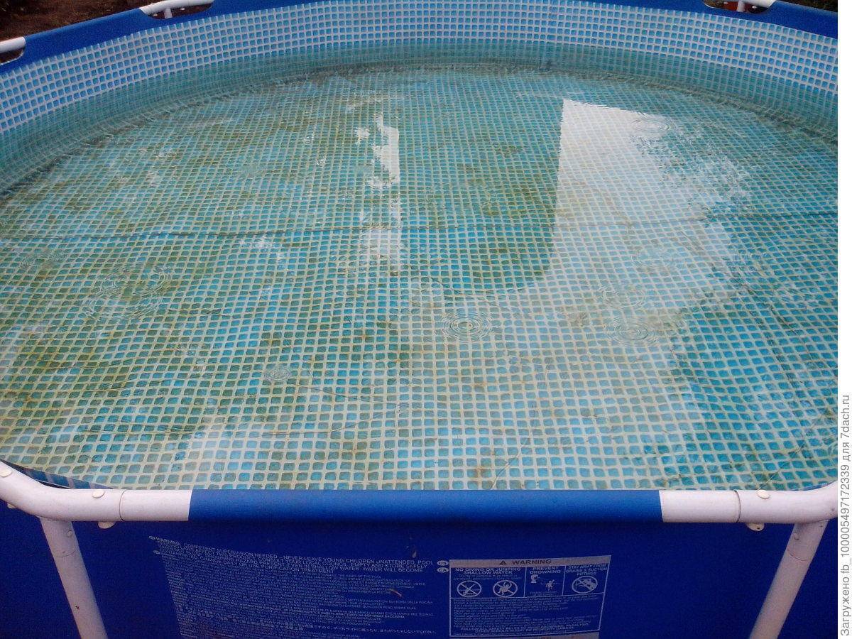 Что добавить в бассейн, чтобы вода не цвела: дёшево и безопасно