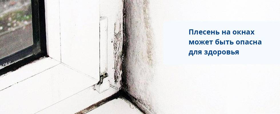 Запотевание окон и плесень на откосах. как избежать, устранить.