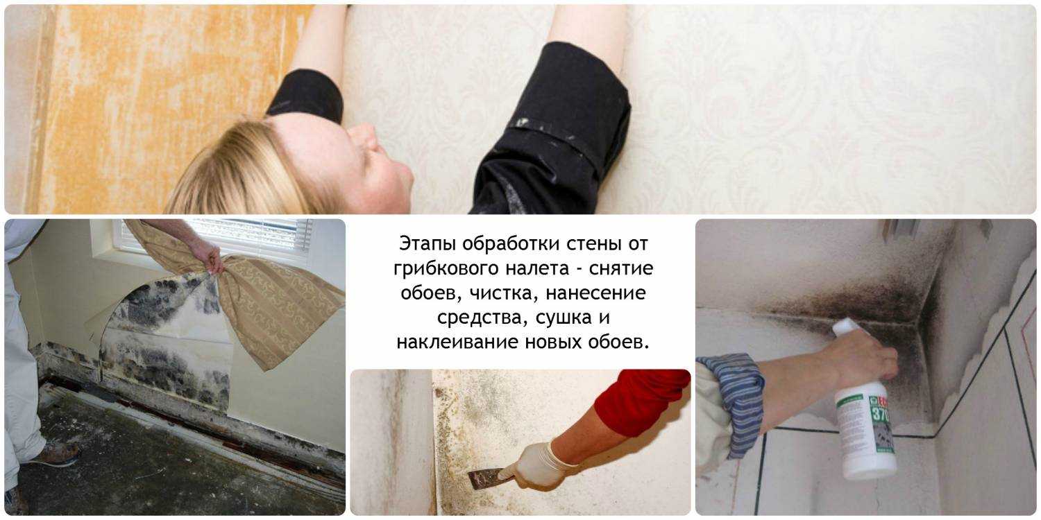 Плесень на обоях: что делать, как избавиться от черных пятен грибка и запаха в квартире, чем можно убрать, не сдирая покрытия со стен?