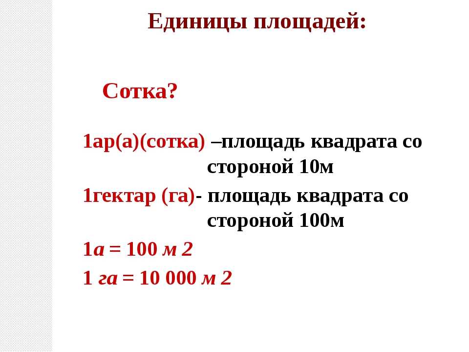 2 сотки огорода это сколько квадратных метров