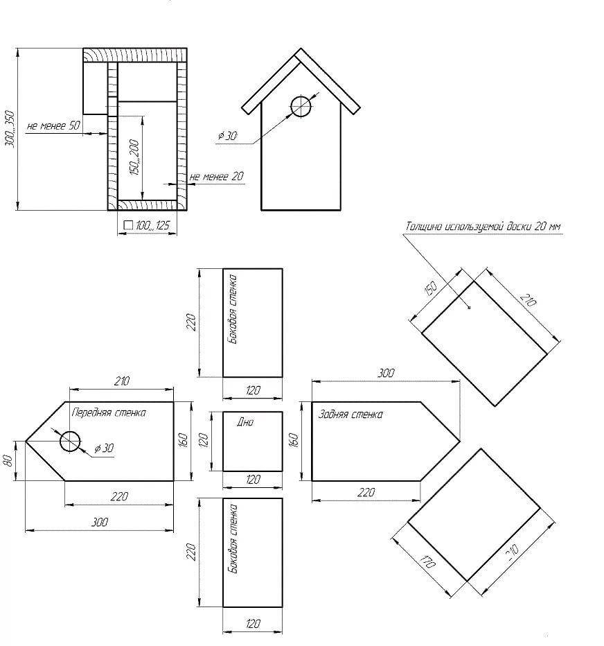 Схема скворечника с размерами из дерева своими руками чертежи и размеры