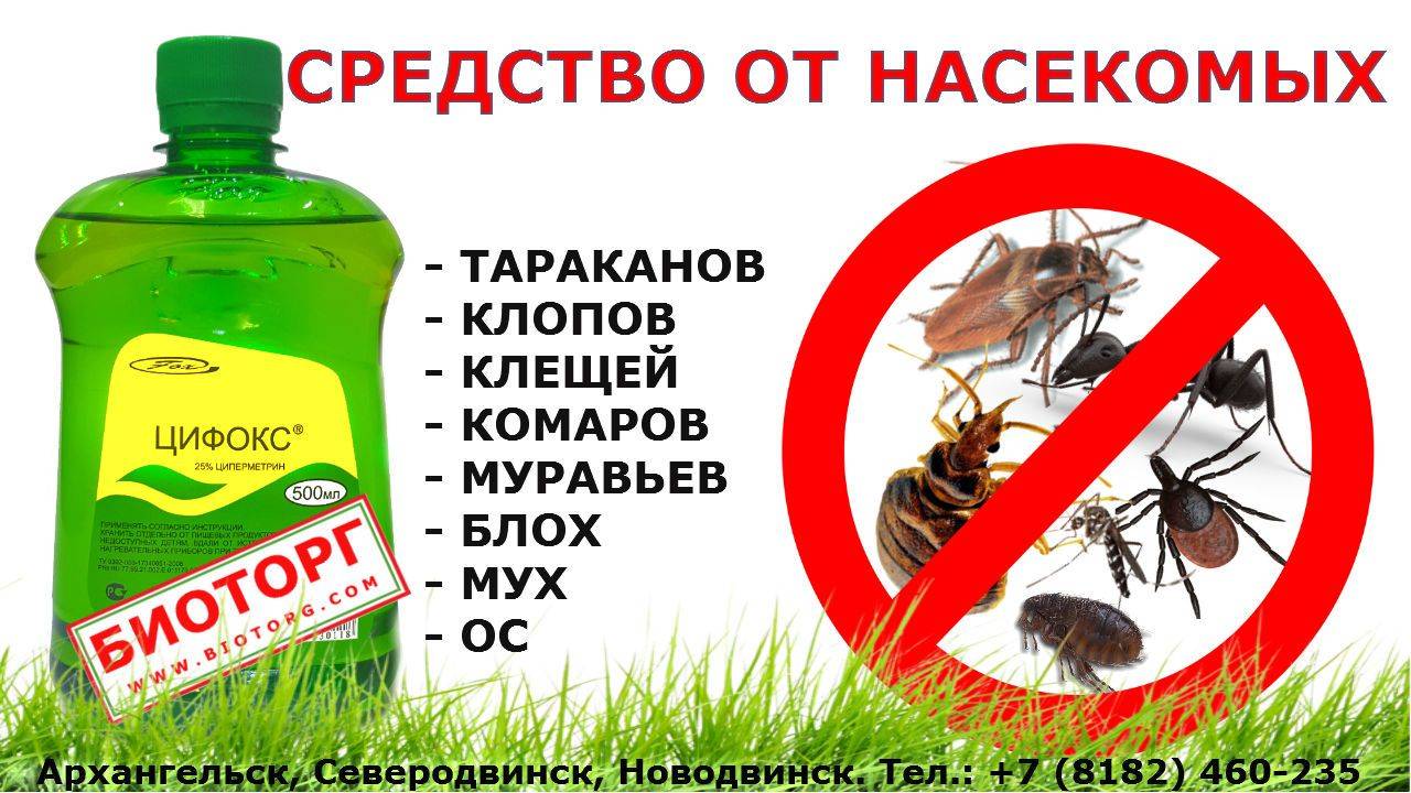 Обработка участка от клещей: топ-10 лучших средств от клещей на даче