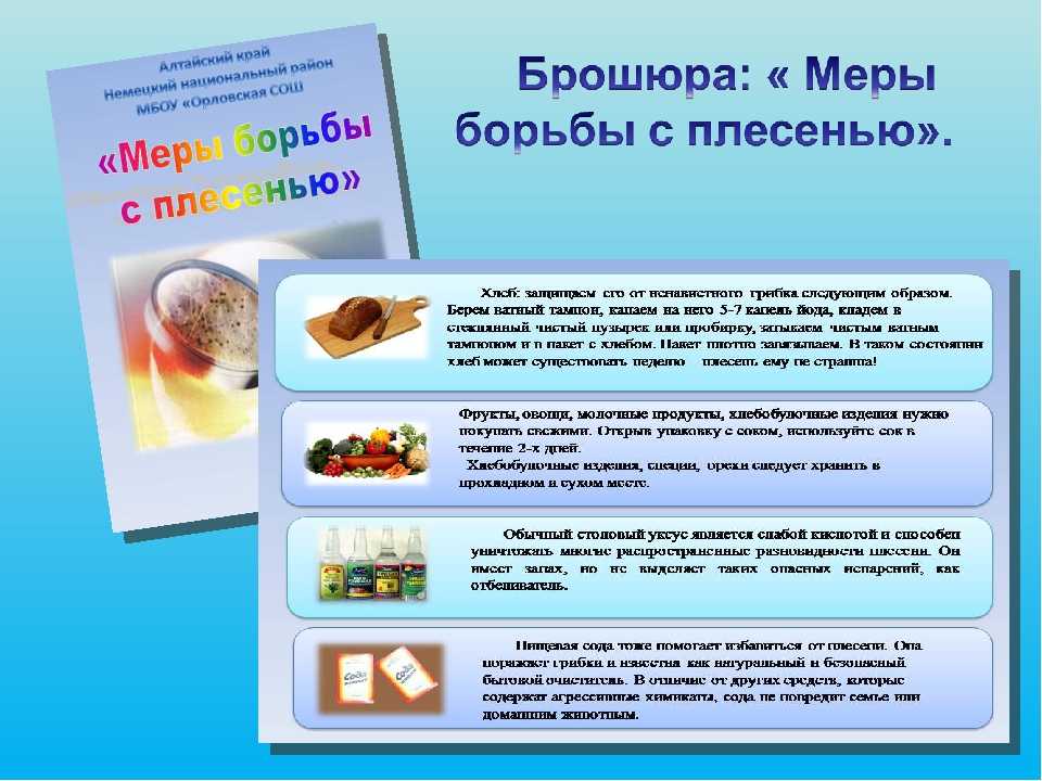 Чем опасна чёрная плесень в доме, советы, рекомендации