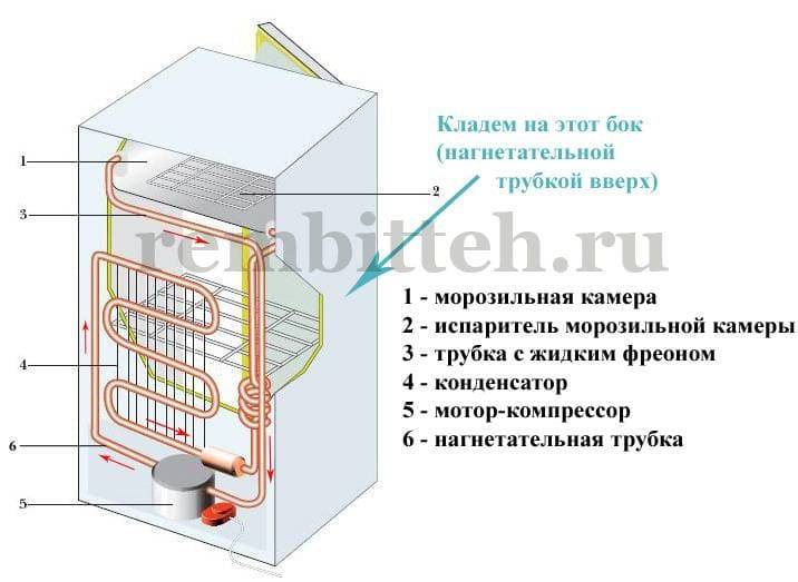Как перевозить холодильник стоя, лежа на боку, на задней стенке