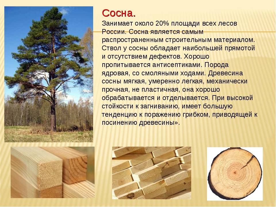 Доска для каркасного дома: размер и толщина, из какой доски можно строить здание: естественной влажности или нет